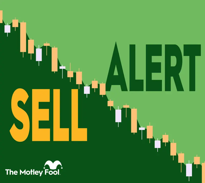 Aehr Test Systems Director Sells 8,000 Shares: Implications for Investors