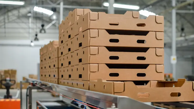 Buckeye Corrugated Enhances Nevada Facility with New Production Equipment