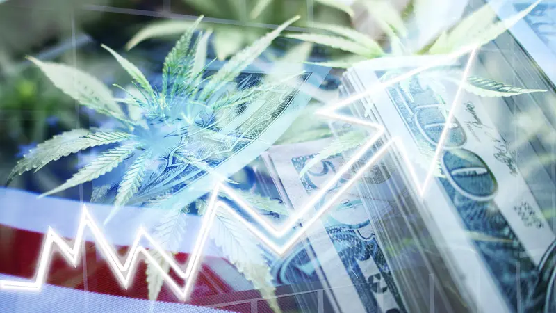 Investing Wisely in the Cannabis Industry for a Secure Retirement