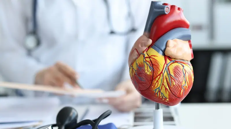 Pulnovo Secures $100 Million in Financing with Support from Medtronic