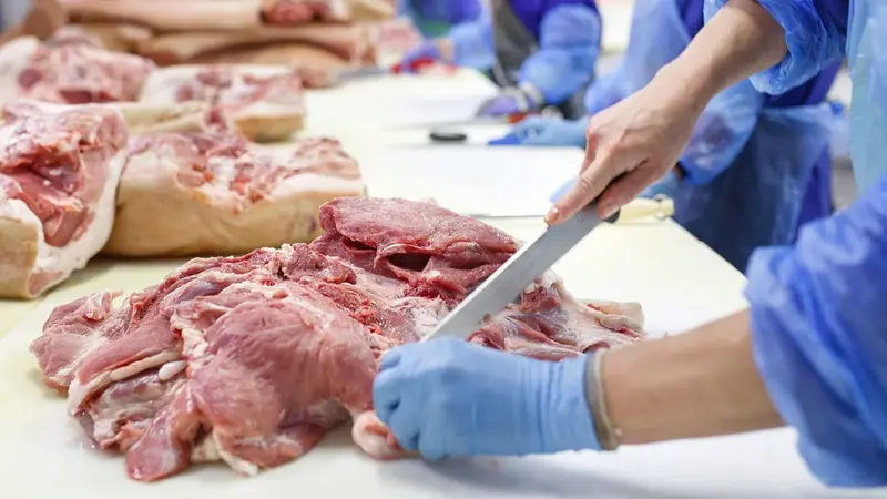 Vion Expands Its Restructuring Efforts by Selling Two German Meat Processing Plants
