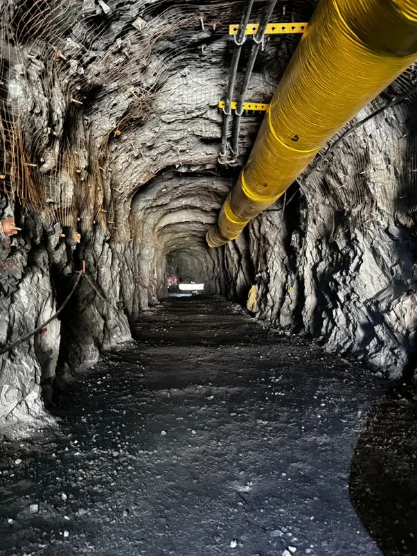 Analyst Optimistic About Avino Silver & Gold Mines (ASM) Following 180% Year-to-Date Growth
