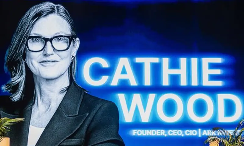 Cathie Wood Predicts End of Major Bitcoin Crashes