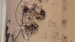 Four Individuals Arrested in Alleged Home Insulation Fraud Scheme