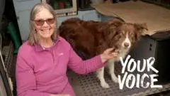 Pet Insurance Woes: One Owner's £8,000 Bill After Policy Cancellation