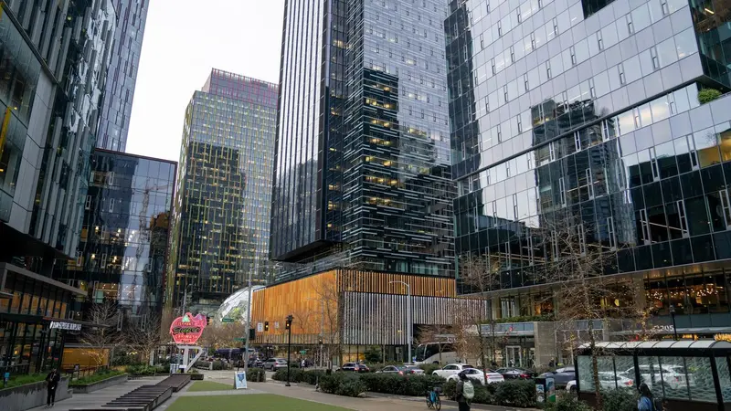 White-Collar Job Market Faces 31-Month Decline: Key Insights